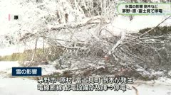 氷雪の影響 倒木など 茅野・原・富士見で停電