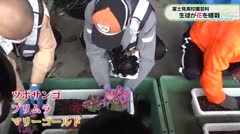 富士見高校園芸科 生徒が花を植栽