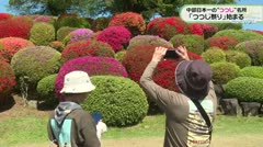 中部日本一の“つつじ”の名所「つつじ祭り」始まる