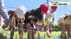 米づくり学ぶ 四賀小 田植え体験