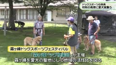 ドッグスポーツの祭典　初秋の高原に愛犬家集う　