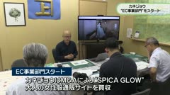 カネジョウ　“EC事業部門”スタート　