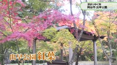 深まりゆく秋　岡谷市　出早公園　