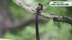 身近にたくさん！　中村健三「諏訪の野鳥」写真展　