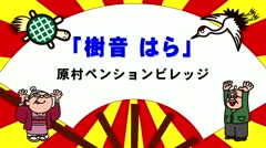 2024年11月後半 樹音はら
