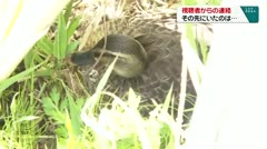視聴者からの連絡 その先にいたのは…
