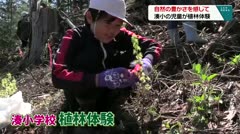 自然の豊かさを感じて　湊小の児童が植林体験　