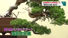 古典植物や山野草楽しむ　「園芸文化展」始まる　