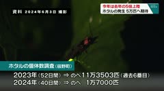 今年は去年の5倍上陸 ホタルの発生 5万匹へ期待