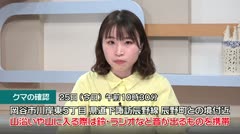 岡谷市川岸東５丁目で クマの目撃情報