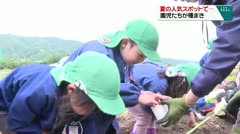 夏の人気スポットで・・・　園児たちが種まき　