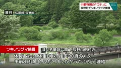 小動物用の「ワナ」に　辰野町でツキノワグマ捕獲　