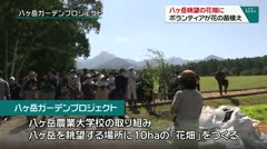八ヶ岳眺望の花畑に　ボランティアが花の苗植え　
