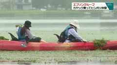 エプソングループ　カヤック乗ってヒシ刈り体験
