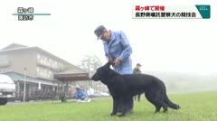 霧ヶ峰で開催　長野県嘱託警察犬の競技会　