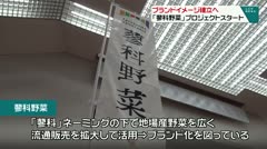 ブランドイメージ確立へ　「蓼科野菜」プロジェクトスタート　