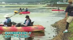 今月のダイジェスト2025年6月　