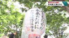 夏を彩る大提灯　並木通りに飾りつけ　