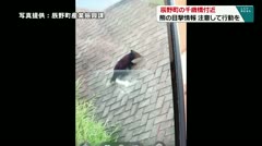 辰野町の千歳橋付近　熊の目撃情報　注意して行動を　　　
