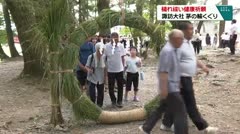 穢れ祓い健康祈願　諏訪大社　茅の輪くぐり　