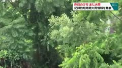 昨日の夕方　また大雨　記録的短時間大雨情報を発表　