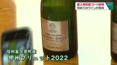 富士見町産ブドウ使用 初めてのワインが完成