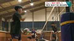 バレーボール 初の「全中」へ NEX WAY SC BOARS
