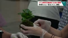 つくば開成学園高校の生徒が講師　地域の人に「苔玉づくり」講座