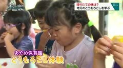 採れたての味は？　地元のとうもろこしを学ぶ　