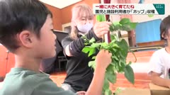 一緒に大きく育てたね 園児と施設利用者が「ホップ」収穫