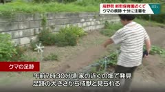 辰野町　新町保育園近くで　クマの痕跡　十分に注意を　