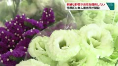 新鮮な野菜やお花を提供したい　笹原区に無人直売所が開設　