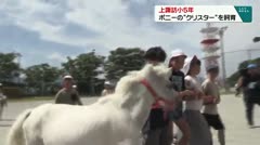 上諏訪小5年　ポニーの“クリスター”を飼育　　