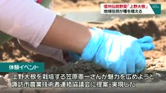 信州伝統野菜「上野大根」　地域住民が種を植える