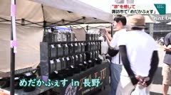 “涼”を感じて 諏訪市で「めだかふぇす」
