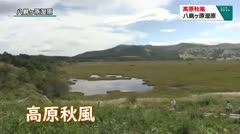 高原秋風　八島ケ原湿原　