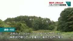 諏訪市 上野の山林 ツキノワグマ錯誤捕獲