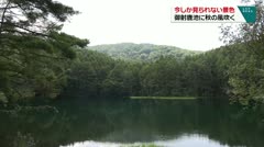 今しか見られない景色 御射鹿池に秋の風吹く