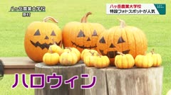 八ヶ岳農業大学校　特設フォトスポットが人気　