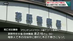 倒れてきた木の下敷きに　富士見町で死亡労災事故　