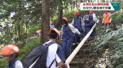 永明中生が森林整備　カタクリ群生地で作業　