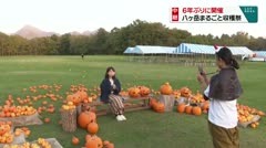 中継　６年ぶりに開催　八ヶ岳まるごと収穫祭　