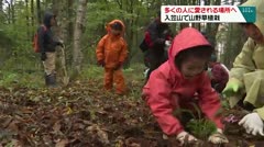 多くの人に愛される場所へ 入笠山で山野草植栽