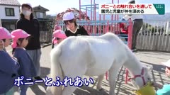 ポニーとの触れ合いを通して　園児と児童が仲を深める　