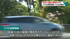 岡谷市　塩嶺大橋信号付近　クマの目撃情報　十分な注意を　