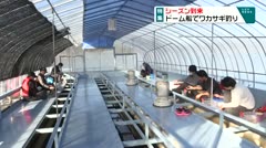 特集　シーズン到来　ドーム船のワカサギ釣り　