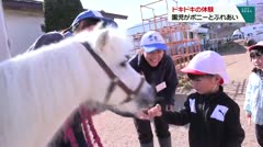 ドキドキの体験　園児がポニーとふれあい　