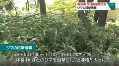 岡谷市　夕日山団地付近　クマの目撃情報　