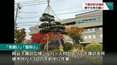 下諏訪町役場前 樹々も冬の装い