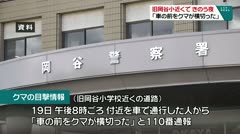 旧岡谷小近くで昨日の夜　「車の前をクマが横切った」